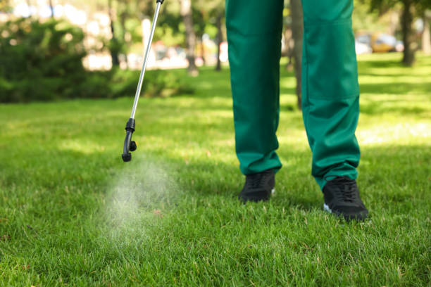 Professional Pest Control in Jefferson City, TN