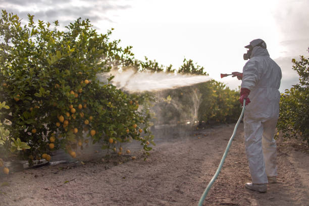 Pest Prevention Services in Jefferson City, TN